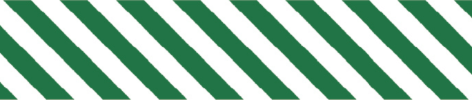 mt Basic - Stripe Deep Green - 15mm Washi Tape