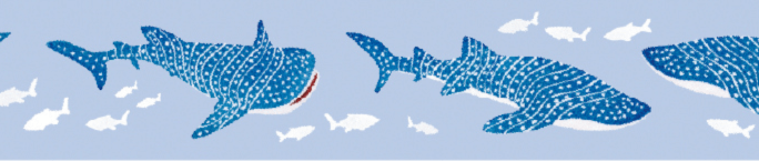 mt x Maruichikyu - Whale Shark - 15mm Washi Tape