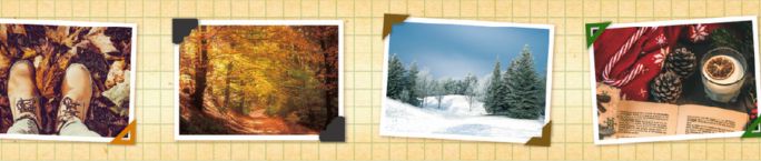 mt ex - Memory Album - 25mm Washi Tape