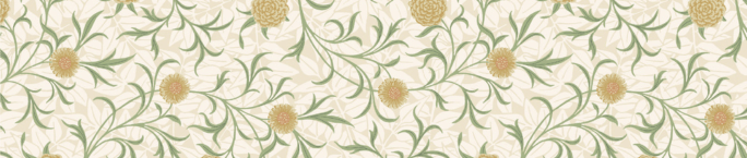 mt x William Morris - Scroll and Flower - 50mm Washi Tape