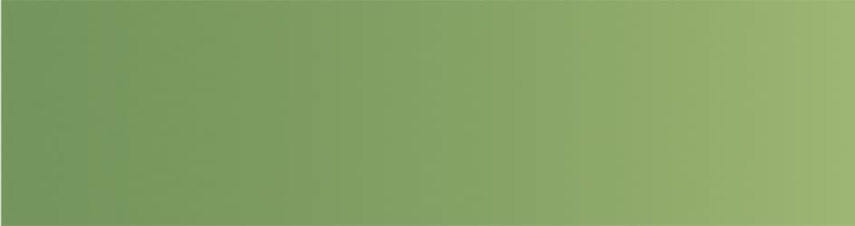 mt Basic - Yellow Green (High Brightness - Metallic Finish) - 15mm Washi Tape