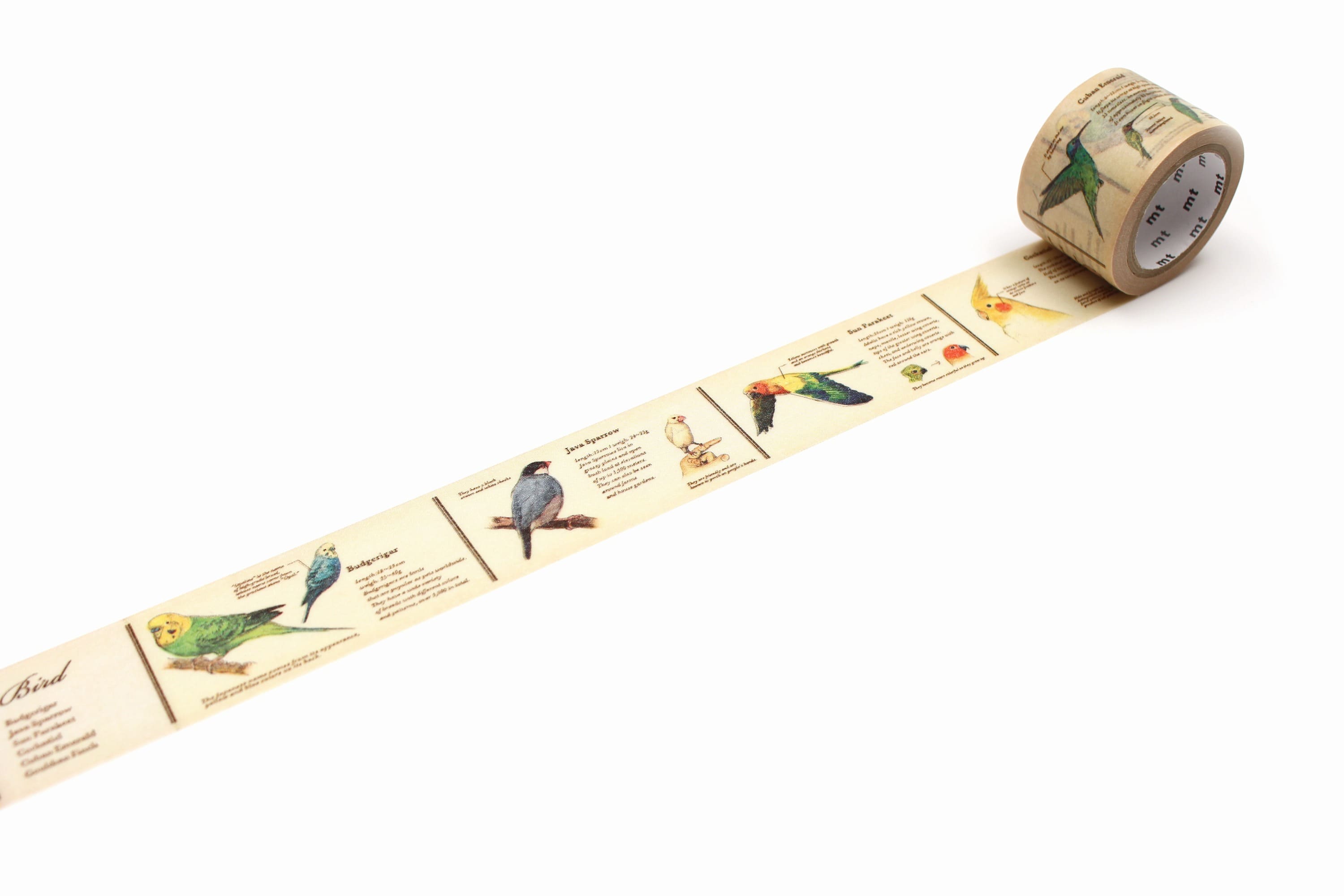 mt ex - Encyclopedia Bird - 30mm Washi Tape