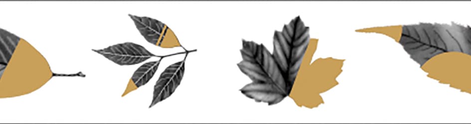 mt fab - Leaves - 15mm Washi Tape