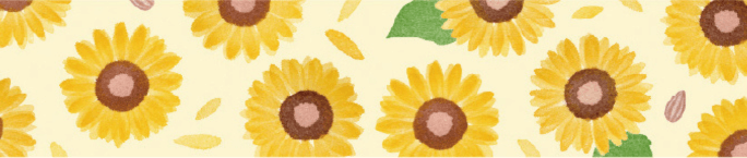 mt x Maruichikyu - Sunflower - 15mm Washi Tape