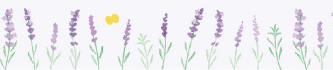 mt x Maruichikyu - Lavender - 15mm Washi Tape