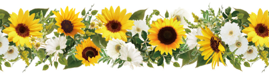 mt ex - Sunflower - 15mm Washi Tape