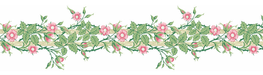 mt x William Morris - Rambler - 20mm Washi Tape