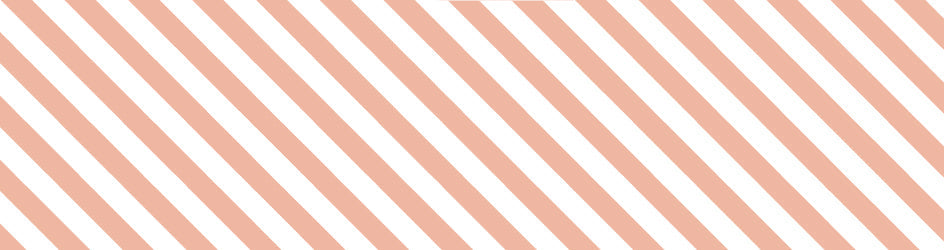 mt Basic - Stripe Salmon Pink - 100mm Washi Tape