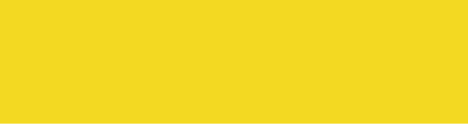 mt Basic - Yellow - 50mm Washi Tape