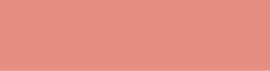 mt Basic - Salmon Pink - 50mm Washi Tape