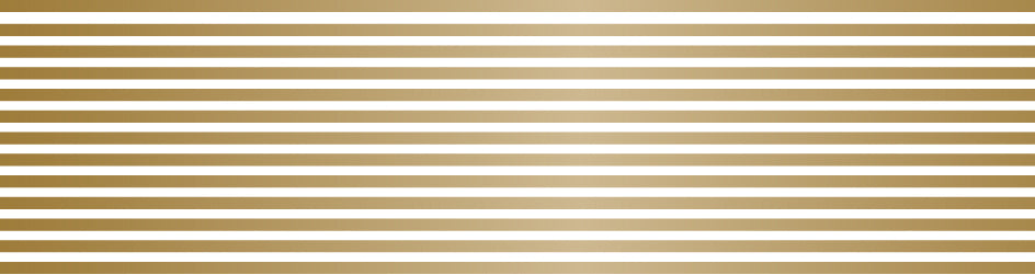 mt Basic - Border Gold - 50mm Washi Tape