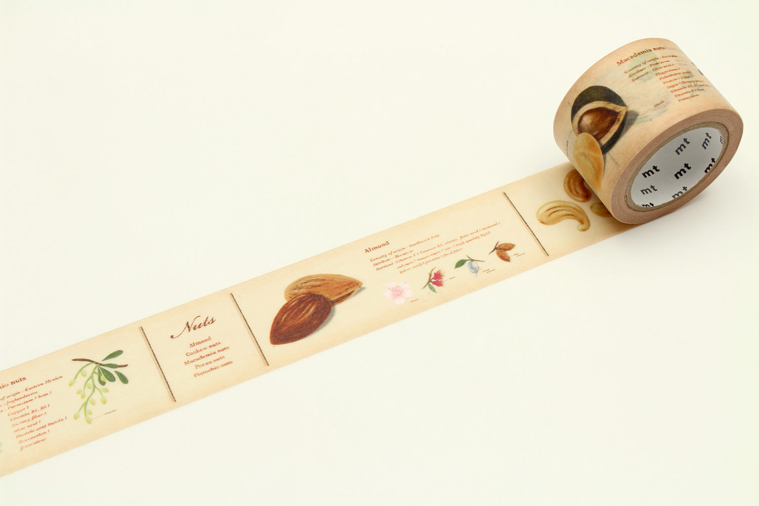 mt ex - Encyclopedia Nuts - 30mm Washi Tape