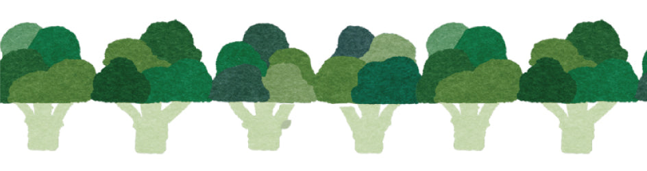 mt ex - Broccoli - 15mm Washi Tape