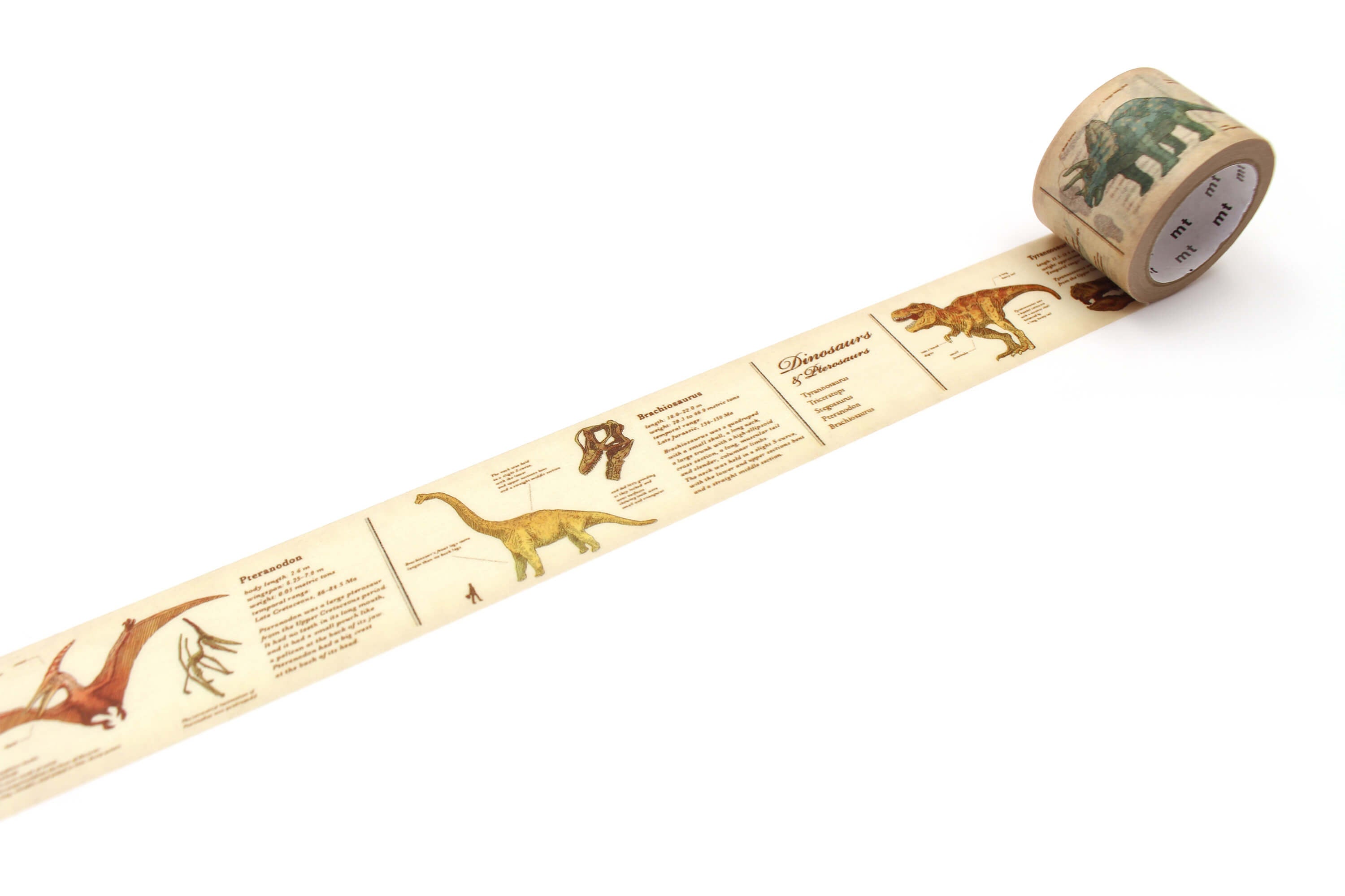 mt ex - Encyclopedia Dinosaur - 30mm Washi Tape