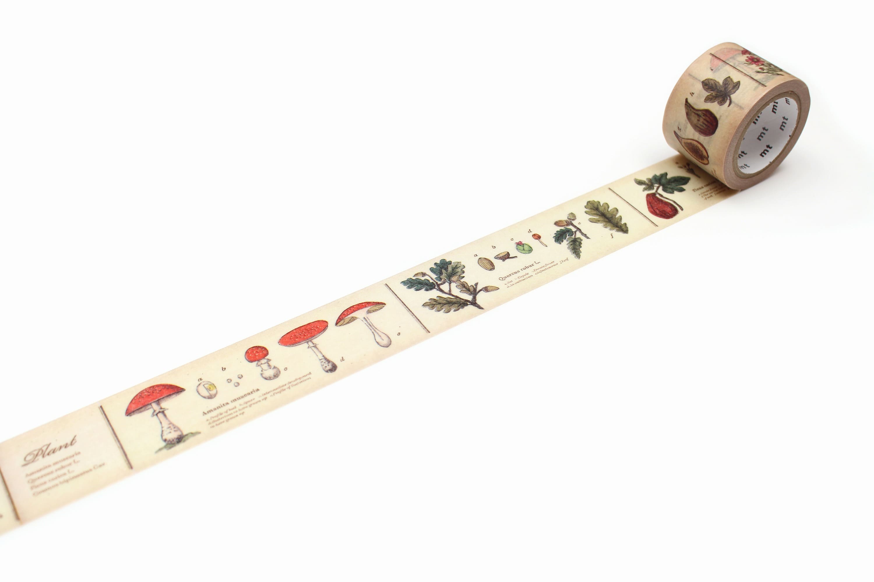 mt ex - Encyclopedia Plant - 30mm Washi Tape