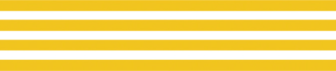 mt Basic - Border Dandelion - 15mm Washi Tape