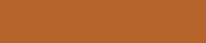 mt Large Core - Chocolate - 9mm Washi Tape