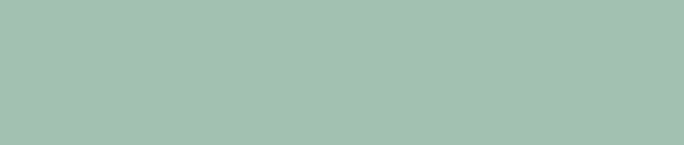 mt Large Core - Matte Smoky Mint - 9mm Washi Tape