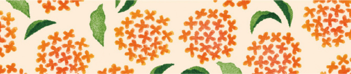 mt x Maruichikyu - Osmanthus - 15mm Washi Tape