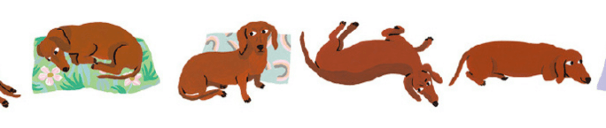 mt x Léa Maupetit - Sausage Dog - 15mm Washi Tape