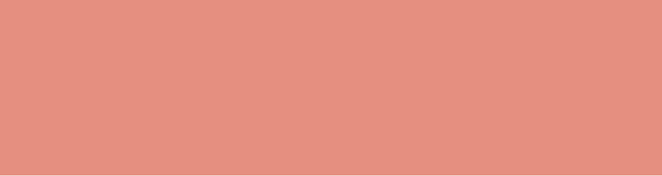 mt Basic - Salmon Pink - 100mm Washi Tape