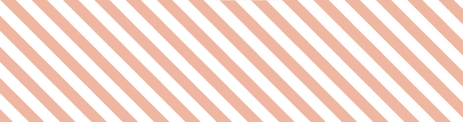 mt Basic - Stripe Salmon Pink - 50mm Washi Tape